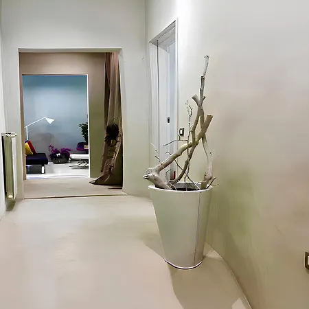 Daire Signature Design & Panoramic Views